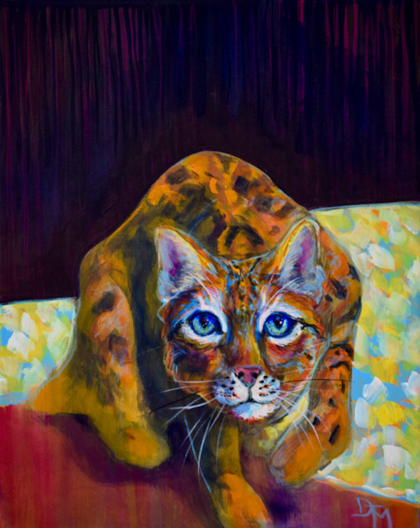 power of ten 2, cat by Dierdra Michelle, Image 1.