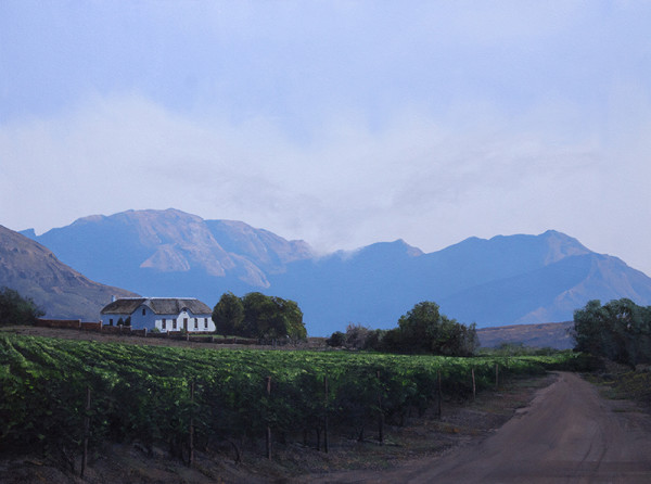 Western Cape Early Vines by Peter Bonney