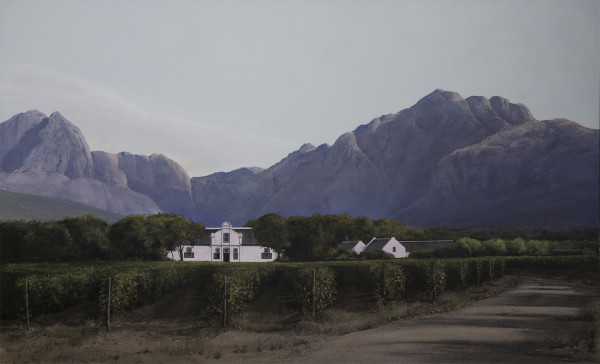 Western Cape Vineyards by Peter Bonney