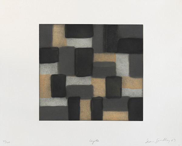 Coyote by Sean Scully, Image 1.