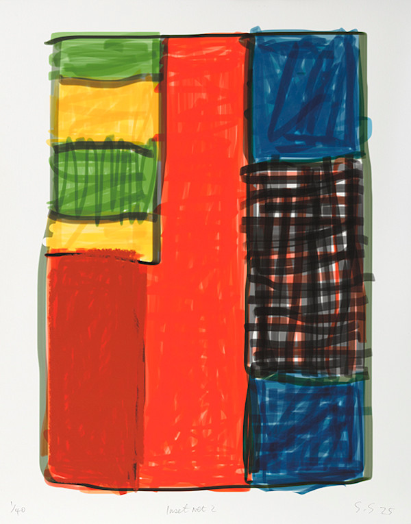 Inset Net 2 by Sean Scully, Image 1.