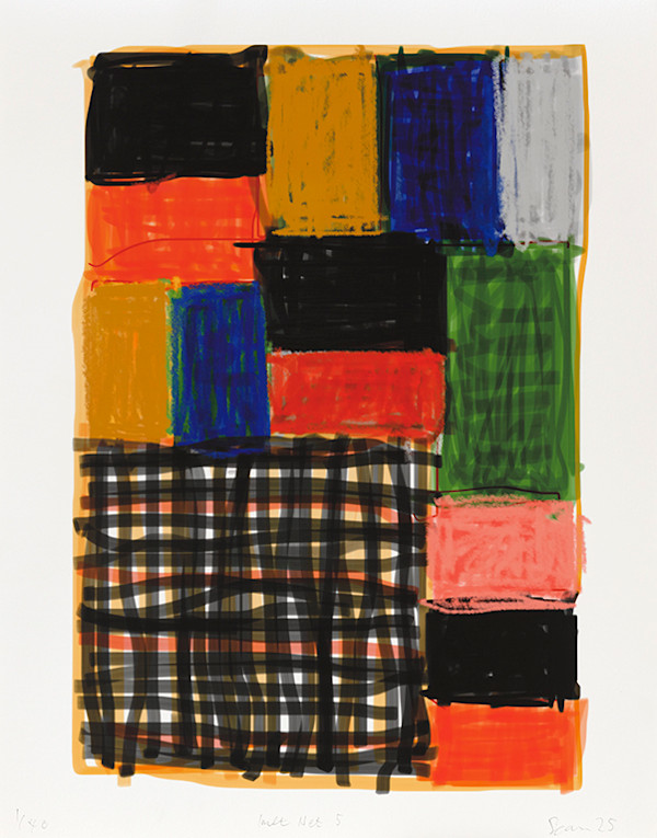 Inset Net 5 by Sean Scully, Image 1.