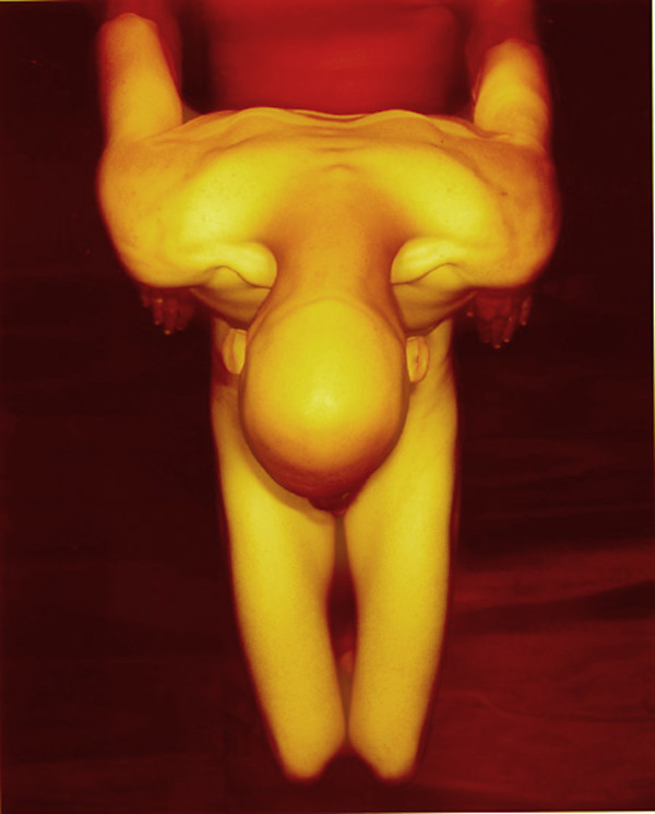 Copper Noah by Kevin Starr, Image 1.