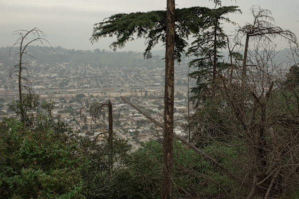 Elysian Park overlook Los Angeles, California #2 by Brent N. Clarke, Image 1.