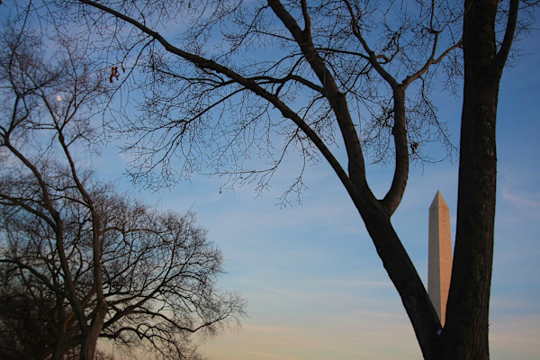 Washington, DC by Brent N. Clarke, Image 1.