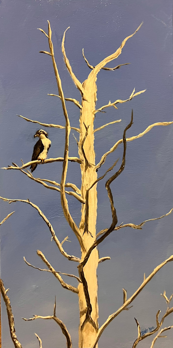Osprey by Debbie A Nye, Image 1.