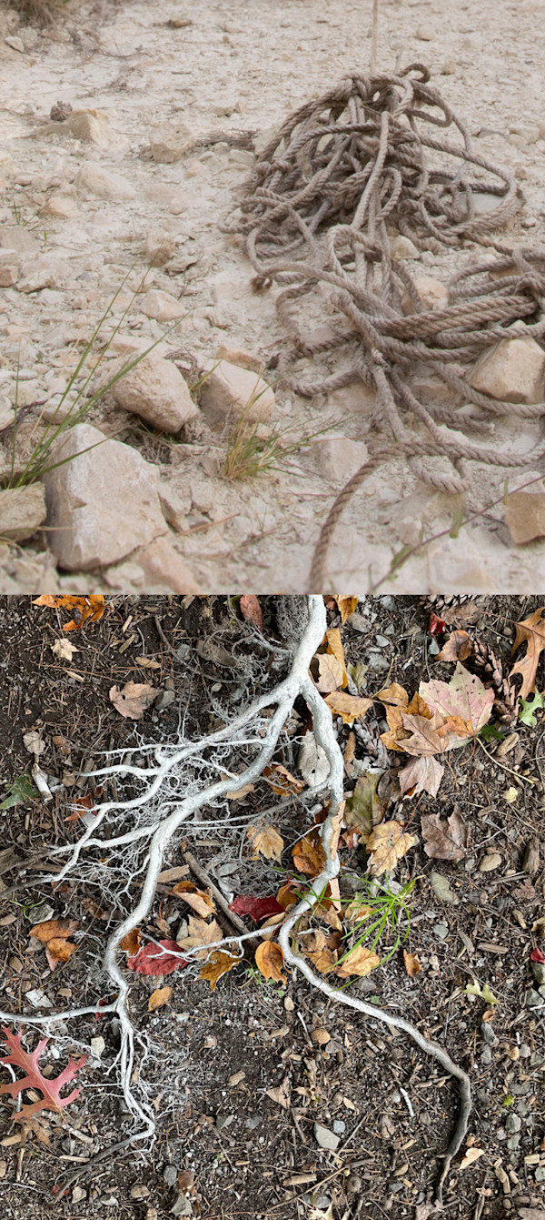 Uncertainty by Suzanne Gainer, Image 1.