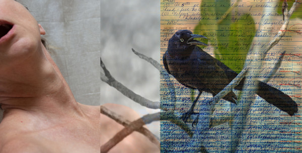 Amnesia by Suzanne Gainer, Image 1.