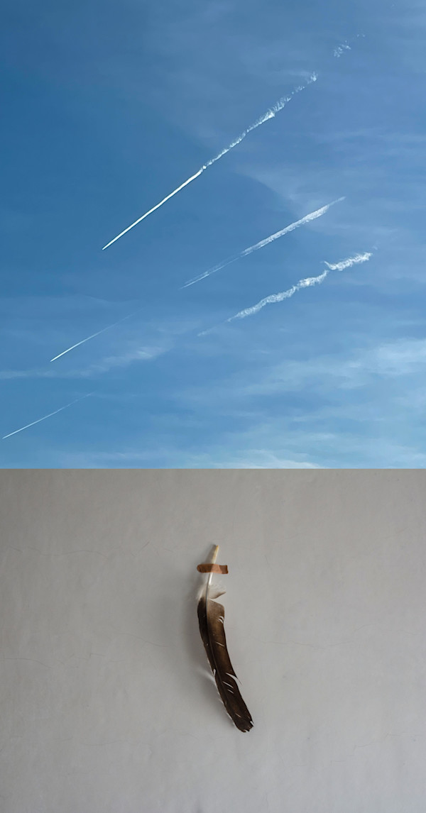 Dreams of Flying by Suzanne Gainer, Image 1.