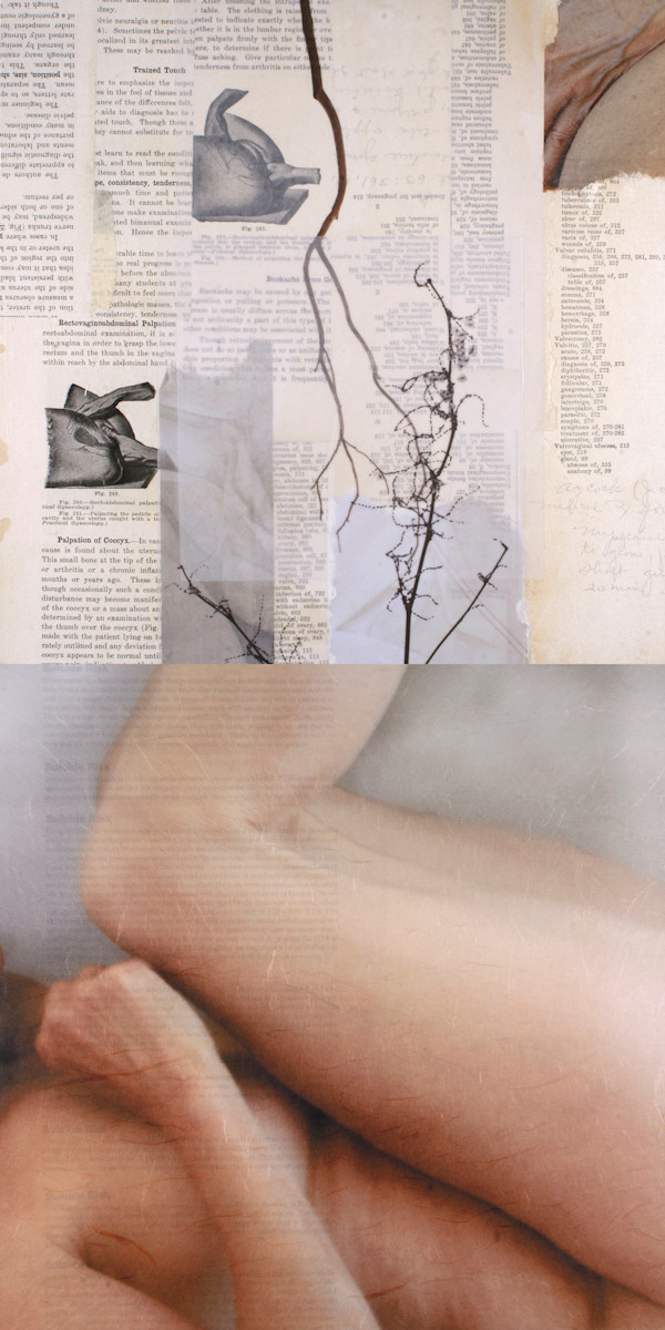 Trained Touch by Suzanne Gainer, Image 1.