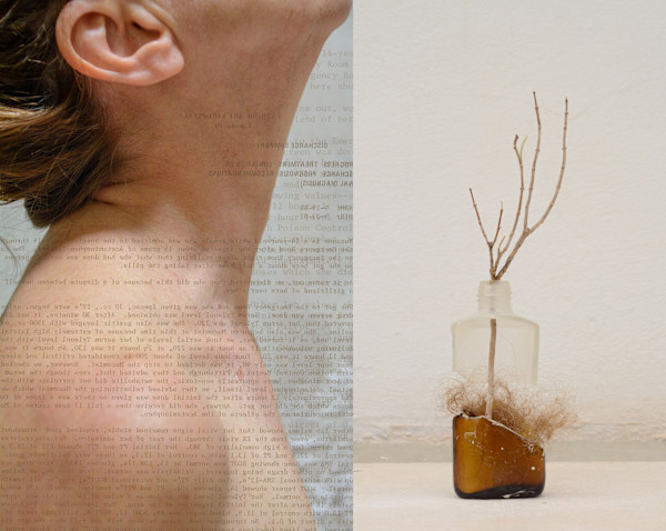 Vile by Suzanne Gainer, Image 1.