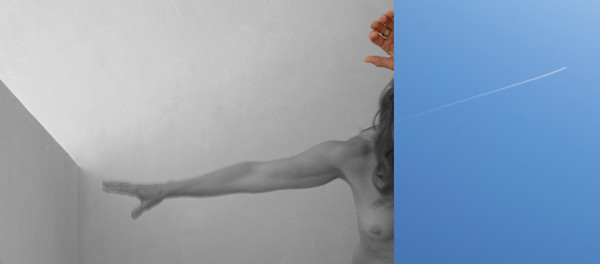 Wake by Suzanne Gainer, Image 1.