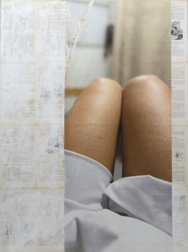 Annual by Suzanne Gainer, Image 1.