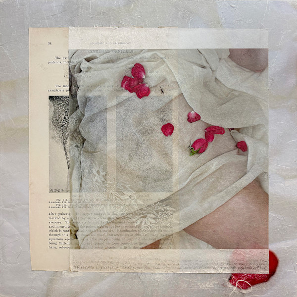 Virgin by Suzanne Gainer, Image 1.