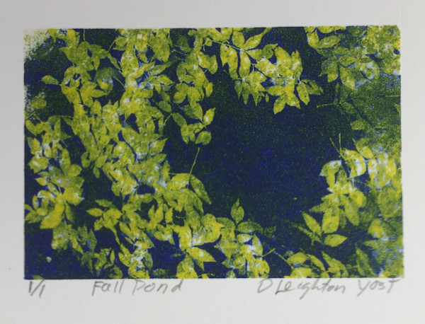 Fall Pond by D Leighton Yost, Image 1.