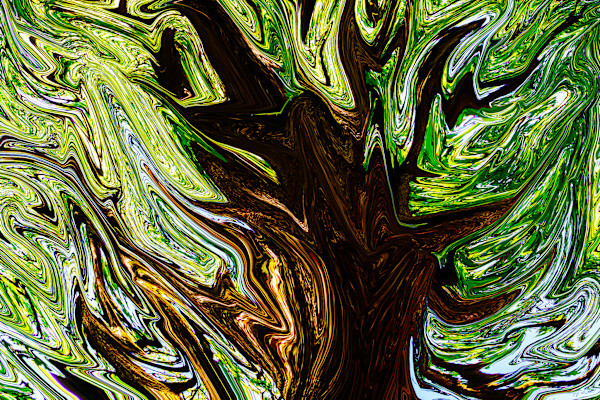 Tree of Life by Gregory Scott Studio, Image 1.