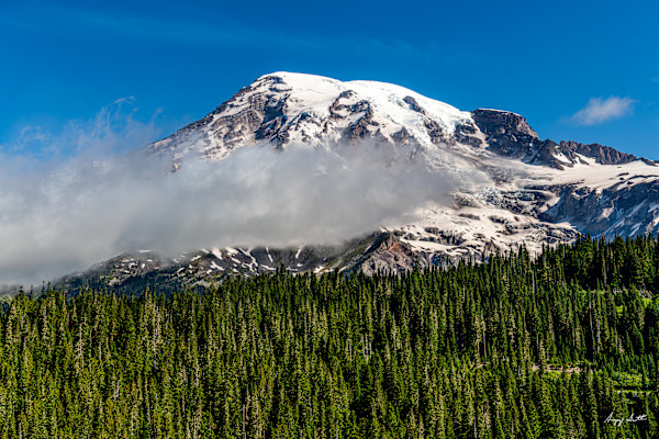 Mt Rainier #8500208 by Gregory Scott Studio, Image 1.