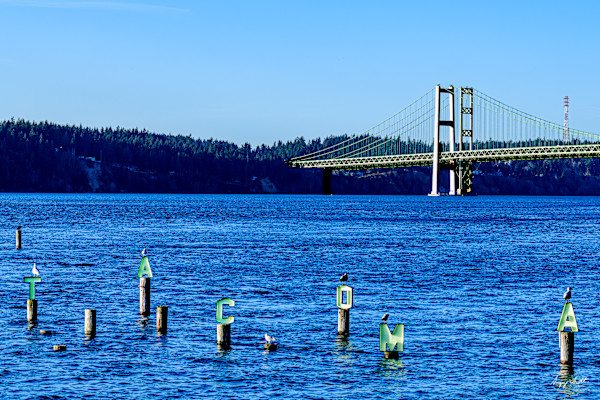 Tacoma Narrows Bridges #8504434 by Gregory Scott Studio, Image 1.