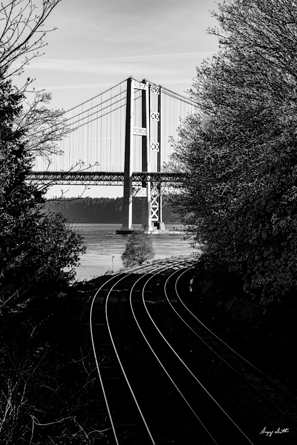 Narrows Bridges #8509169 by Gregory Scott Studio, Image 1.