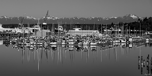 B&W Hylebos Marina Boats Reflections #8509385-2 by Gregory Scott Studio, Image 1.