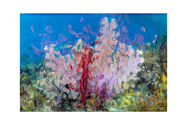 Coralia by Ysabela Coll, Image 1.