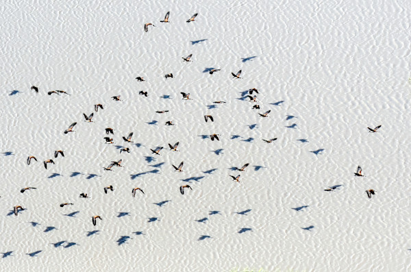 Ecos by Ysabela Coll, Image 1.
