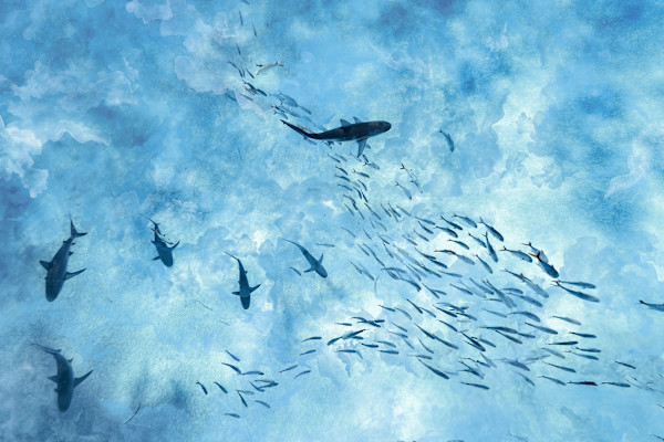 Entre Nubes y Mareas by Ysabela Coll, Image 1.