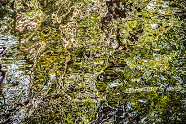 Reflejos de una vida by Ysabela Coll, Image 1.