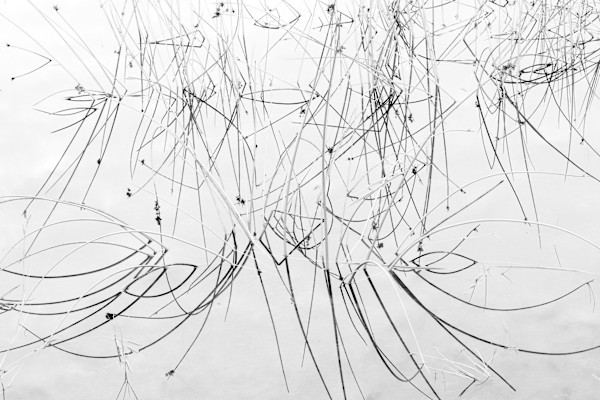 Garabatos I by Ysabela Coll, Image 1.