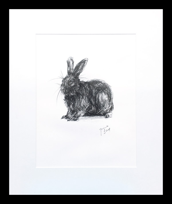 Rabbit 1 by Yvonne East