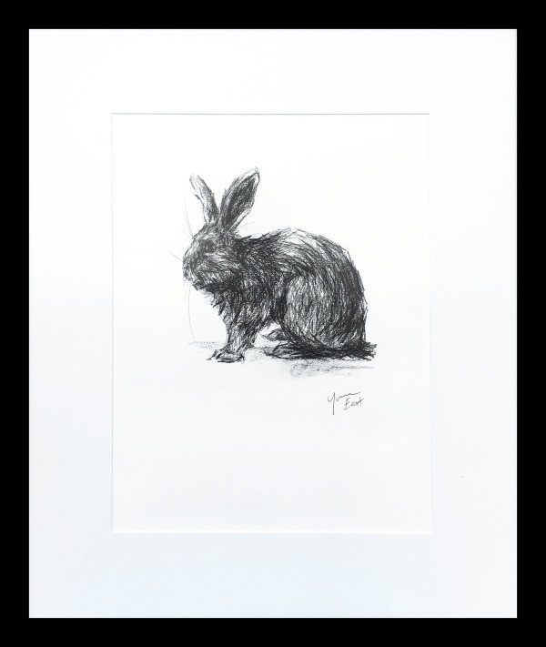 Rabbit 3 by Yvonne East