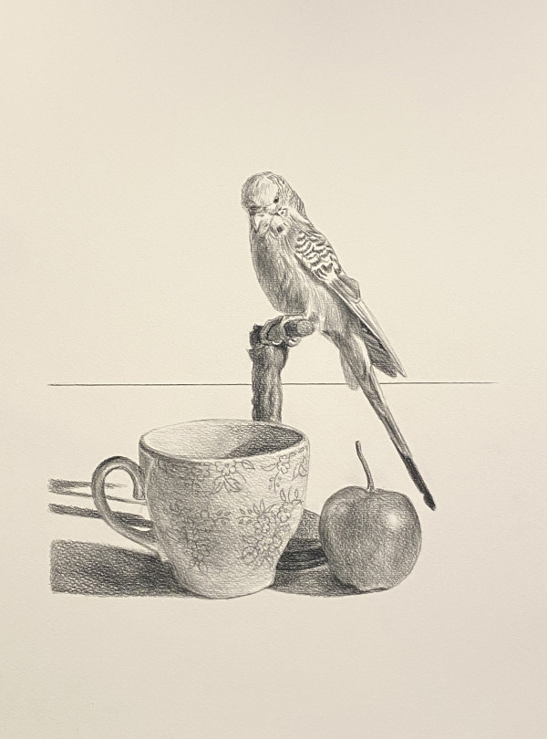 Still life with Budgerigar by Yvonne East