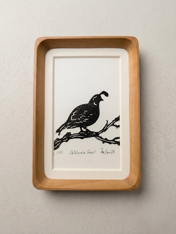 O/E California Quail by María Ayllón, Image 1.