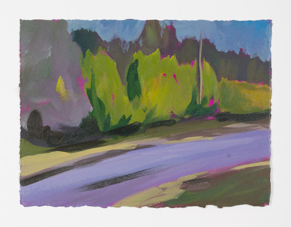 Hedges by the Road - Purple and Green by Peter Gynd