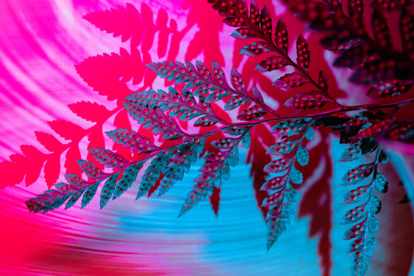 Spectrum VI by Faith Parks, Image 1.