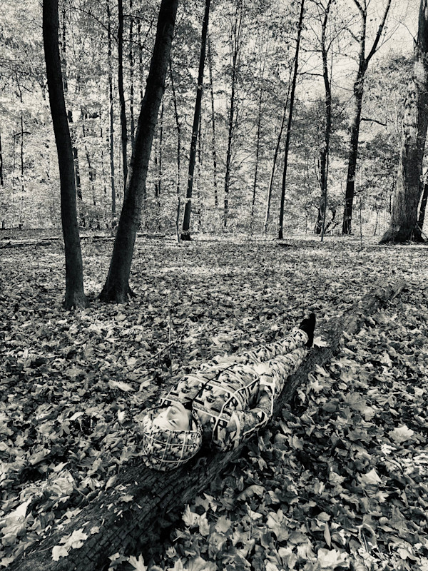 Hide and Seek, 2023 by Anna Novakov, Image 1.