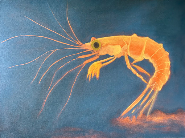 DANCING SHRIMP by Camilo Orozco, Image 1.