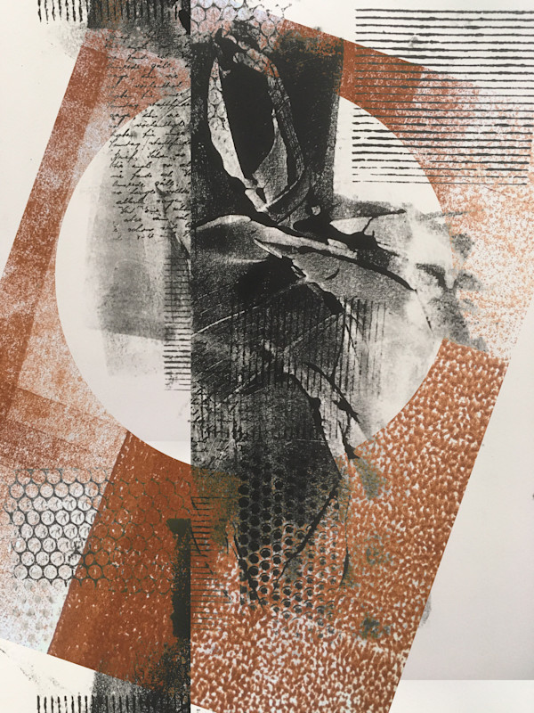 Focus by Tony Bounsall