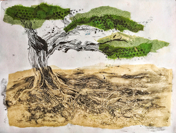 Bonsai by Tony Bounsall