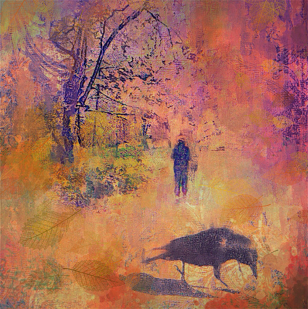 DeCourcey Walk by Tony Bounsall