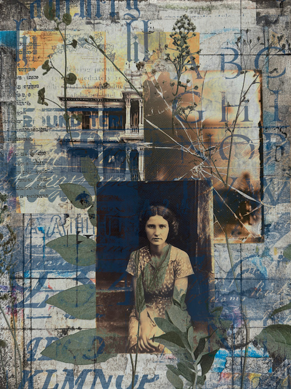 Season Of Change by Tony Bounsall, Image 5.
