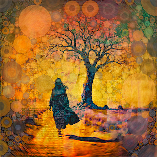 The Pilgrim by Tony Bounsall, Image 7.