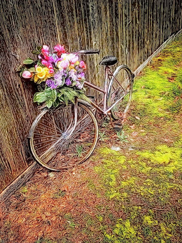 Qualicum Bicycle by Tony Bounsall