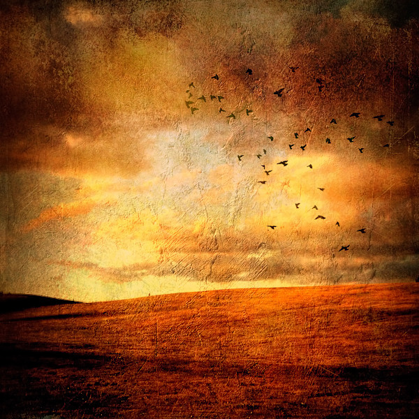 Day Break by Tony Bounsall