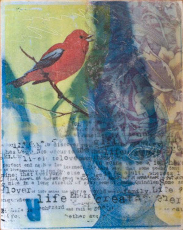 Optimism by Tony Bounsall