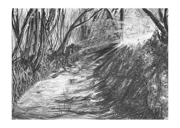 La vie forestière II by Ivo van Woerden, Image 1.