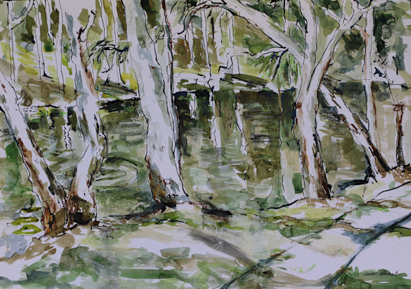 Hoods Lagoon Afternoon,Clermont by Lyn Laver-Ahmat