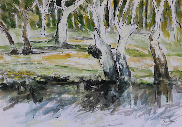 Twin Eucalypts, Hoods Lagoon, Clermont by Lyn Laver-Ahmat
