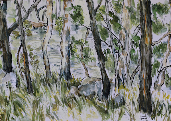 Near Douglas Creek, Central West Queensland by Lyn Laver-Ahmat