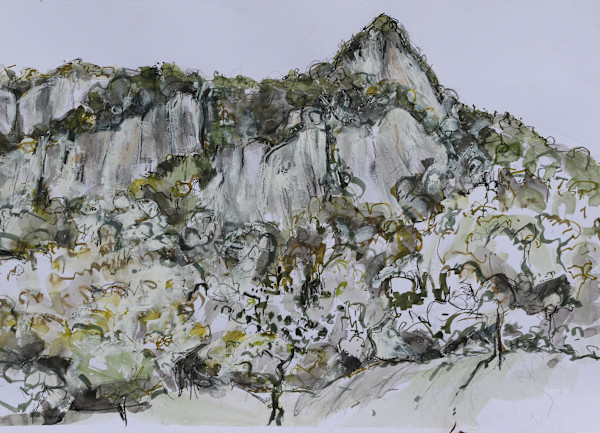 The Leap by Lyn Laver-Ahmat